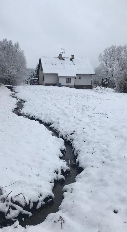 Apartmán Ivko Letohrad Kültér fotó
